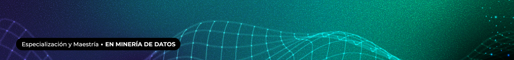 Especialización y Maestría en Minería de Datos